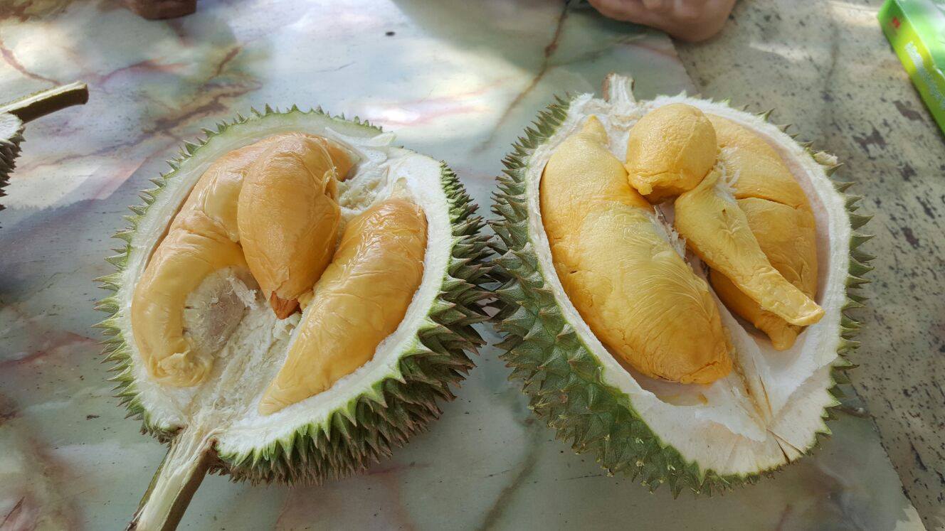 durian buffets - just durian