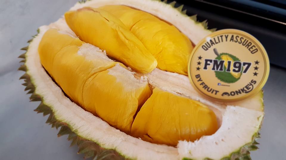 durian delivery- fruit monkeys-min