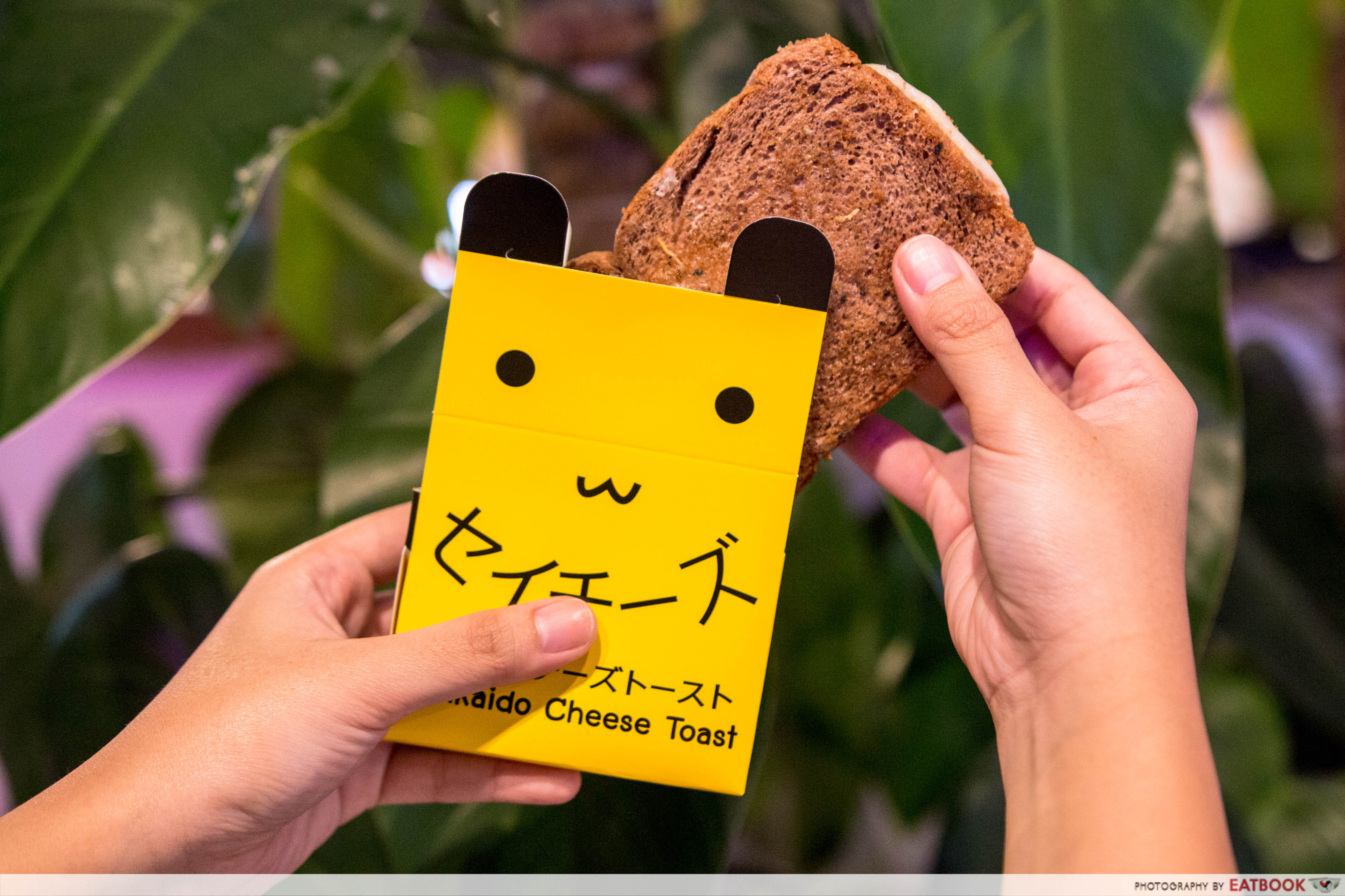 Say Chiizu - Chocolate Toast