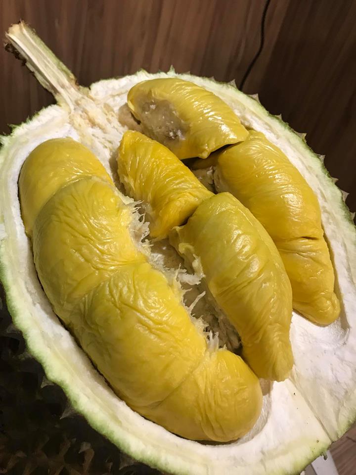 Durian Stores Durianlicious