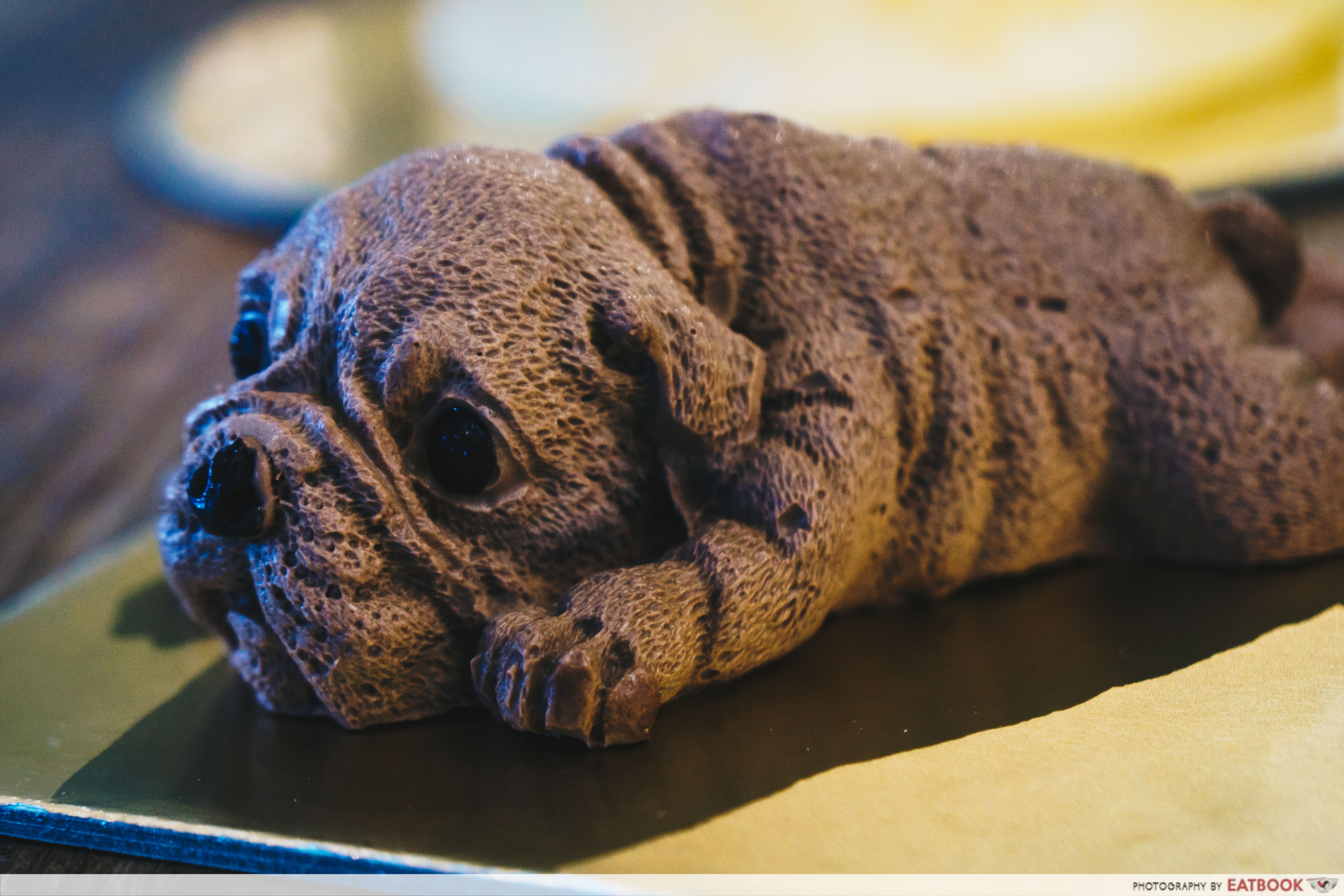 Dog Cake - Shar Pei Puppy Cake