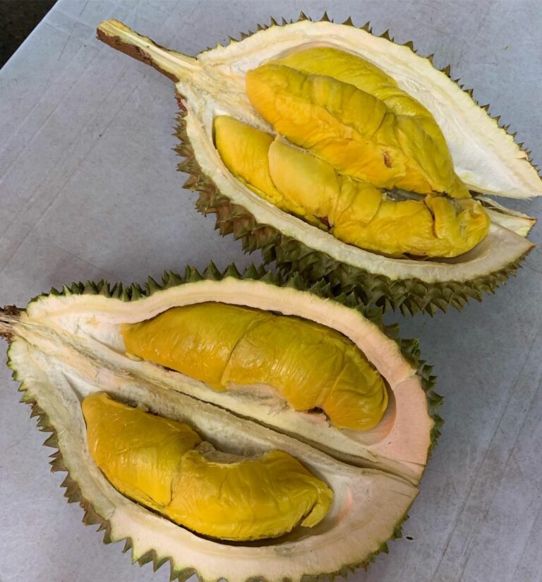 Best Durian Stalls In Singapore Eatbook Sg