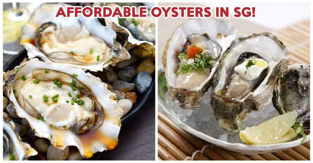 CHEAP OYSTERS SINGAPORE