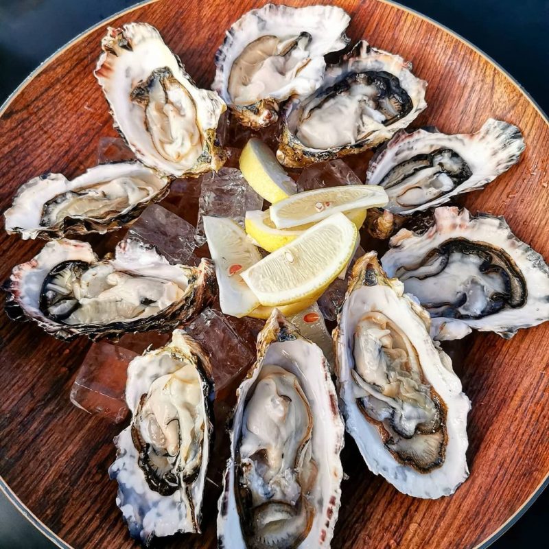 oyster co e1605234857215