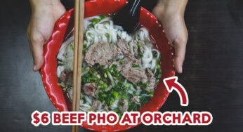 Thiên Long Review: Vietnamese Pho At Orchard Road For $6