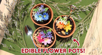 10 Floral Dishes To Surprise Your Date With Flowers In Their Plates