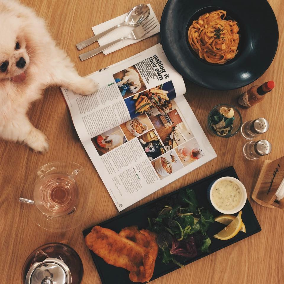 10 Pet-friendly Cafes You Can Brunch With Your Fur Babies At - EatBook