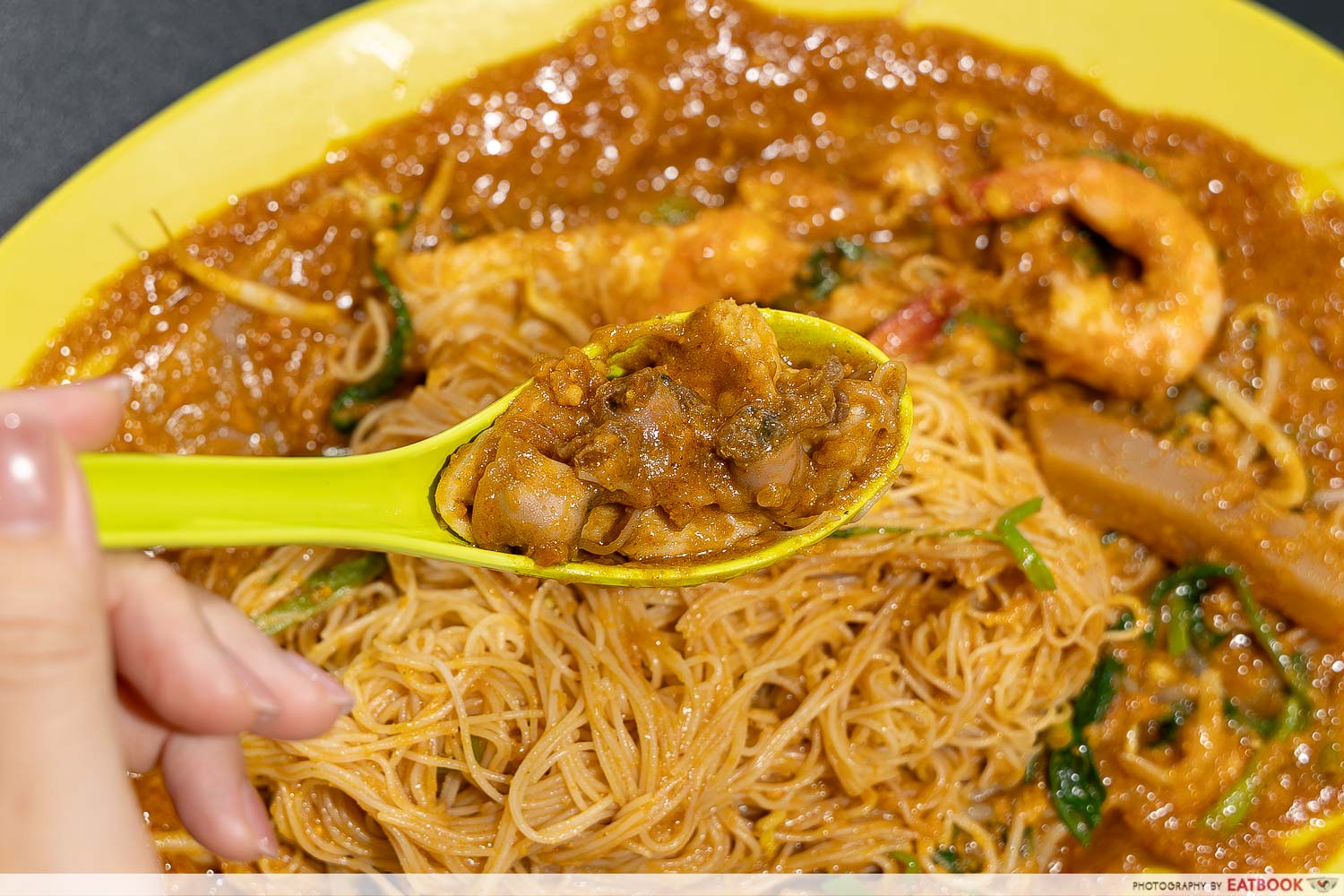 Sin-Chew-Satay-Bee-Hoon-ingredients