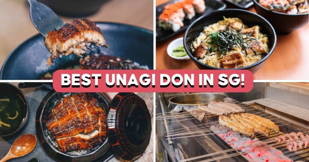 BEST UNAGI DON SINGAPORE