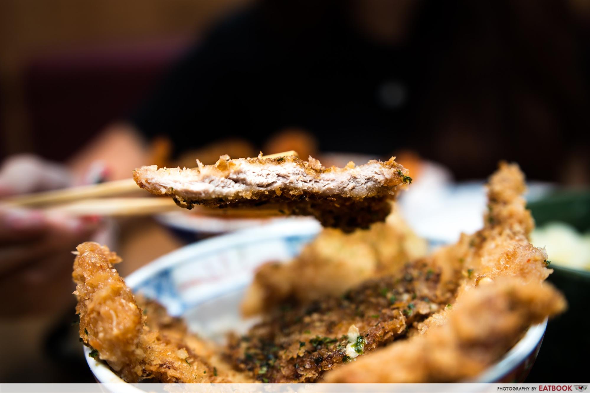 Katsudon Hanakatsu - cutlet