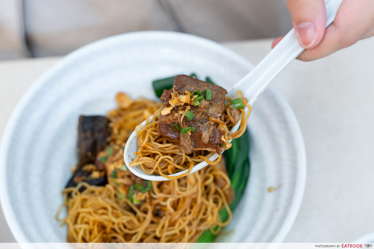 the-dim-sum-place-dry-beef-brisket-noodle-spoon-interaction
