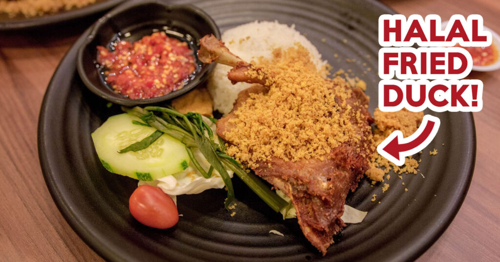 Bebek Goreng Pak Ndut - Cover image