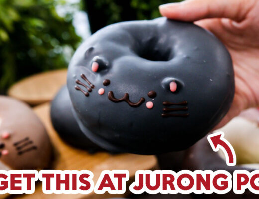 cat donuts - FEATURE