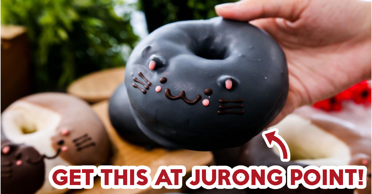 cat donuts - FEATURE