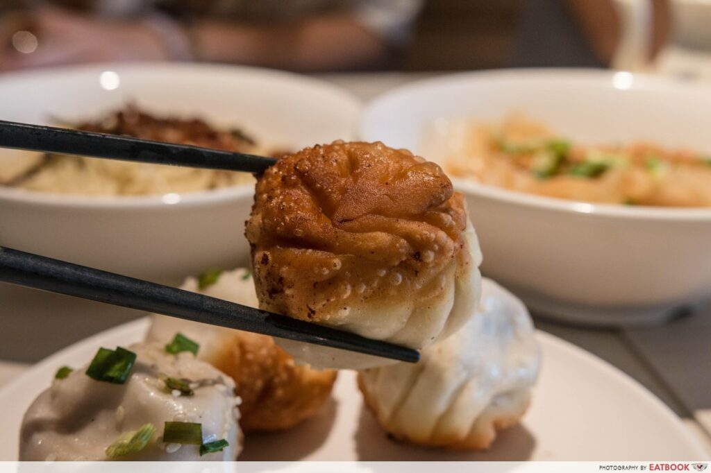 ding tele - sheng jian bao close up