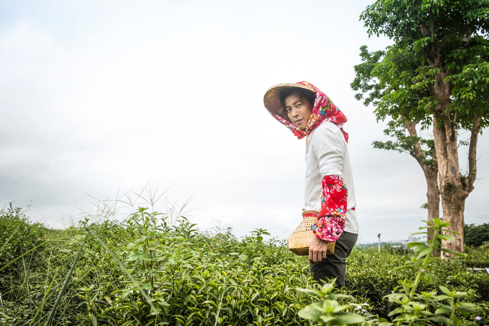 Bobii Frutii - Plucking Tea Leaves