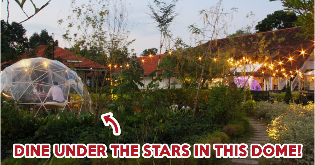 The Summerhouse - feature