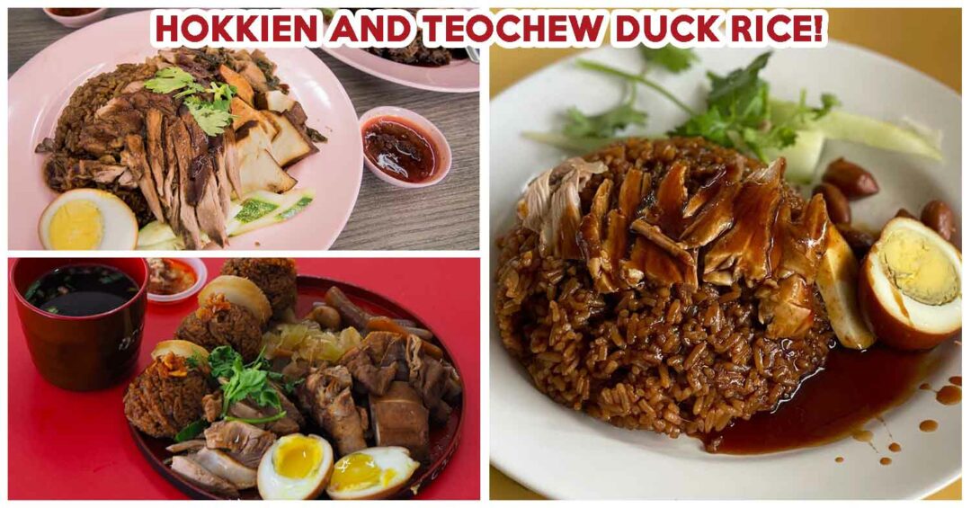 best duck rice