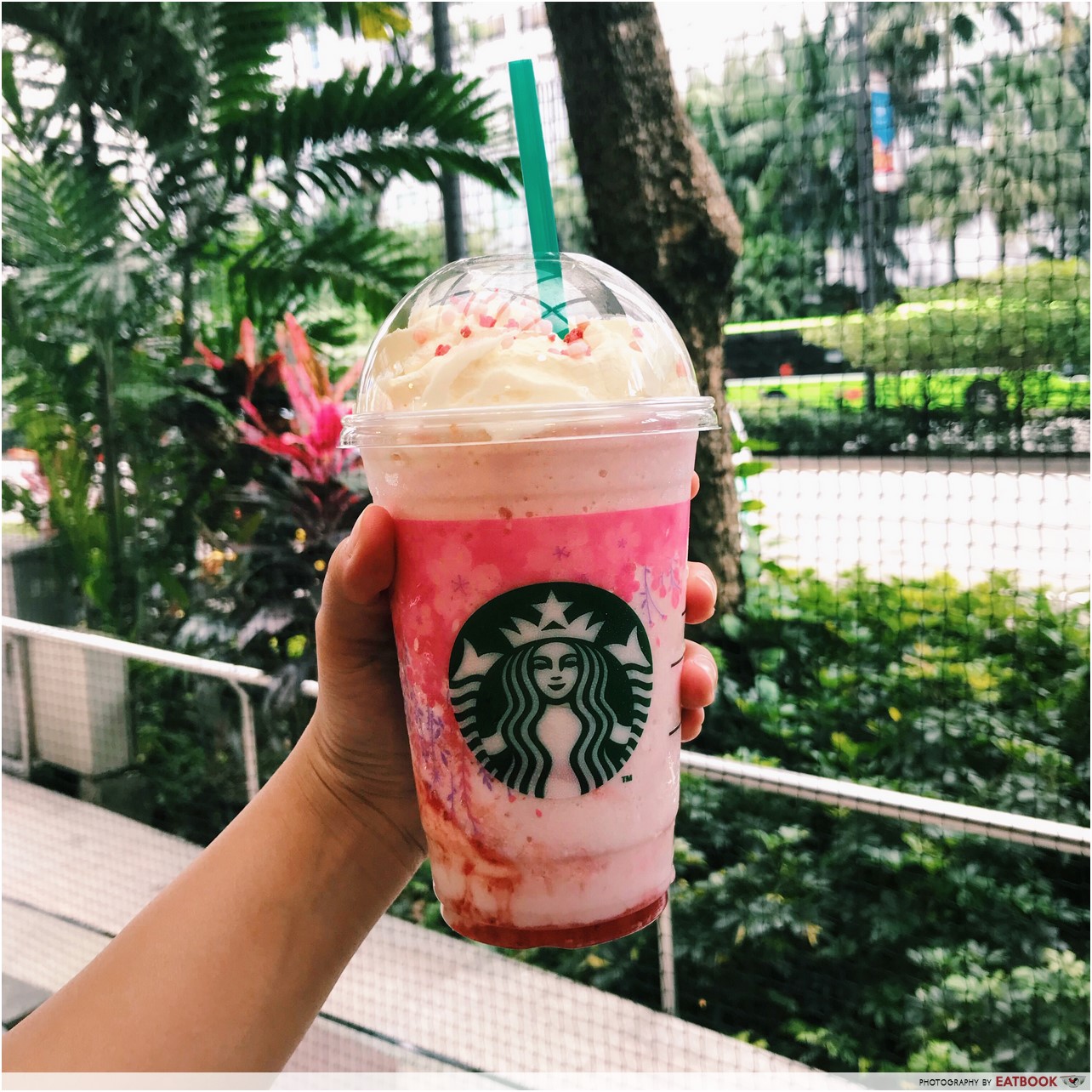 strawberry honey blossom frappe