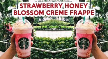 Starbucks Singapore Now Offers Coconut Milk And Strawberry Honey Blossom Creme Frappuccino