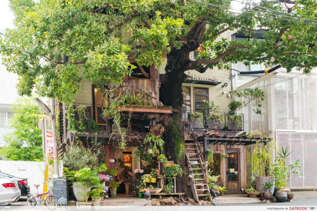 Tokyo treehouse cafe - les grands arbres
