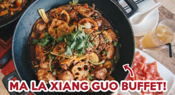 Fat Bird Review: Ma la Xiang Guo And Chicken Stew Hot Pot Buffet At $15.90++