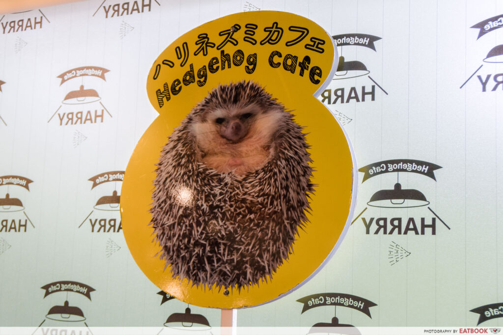 HEDGEHOG CAFE (JAPAN)-sign