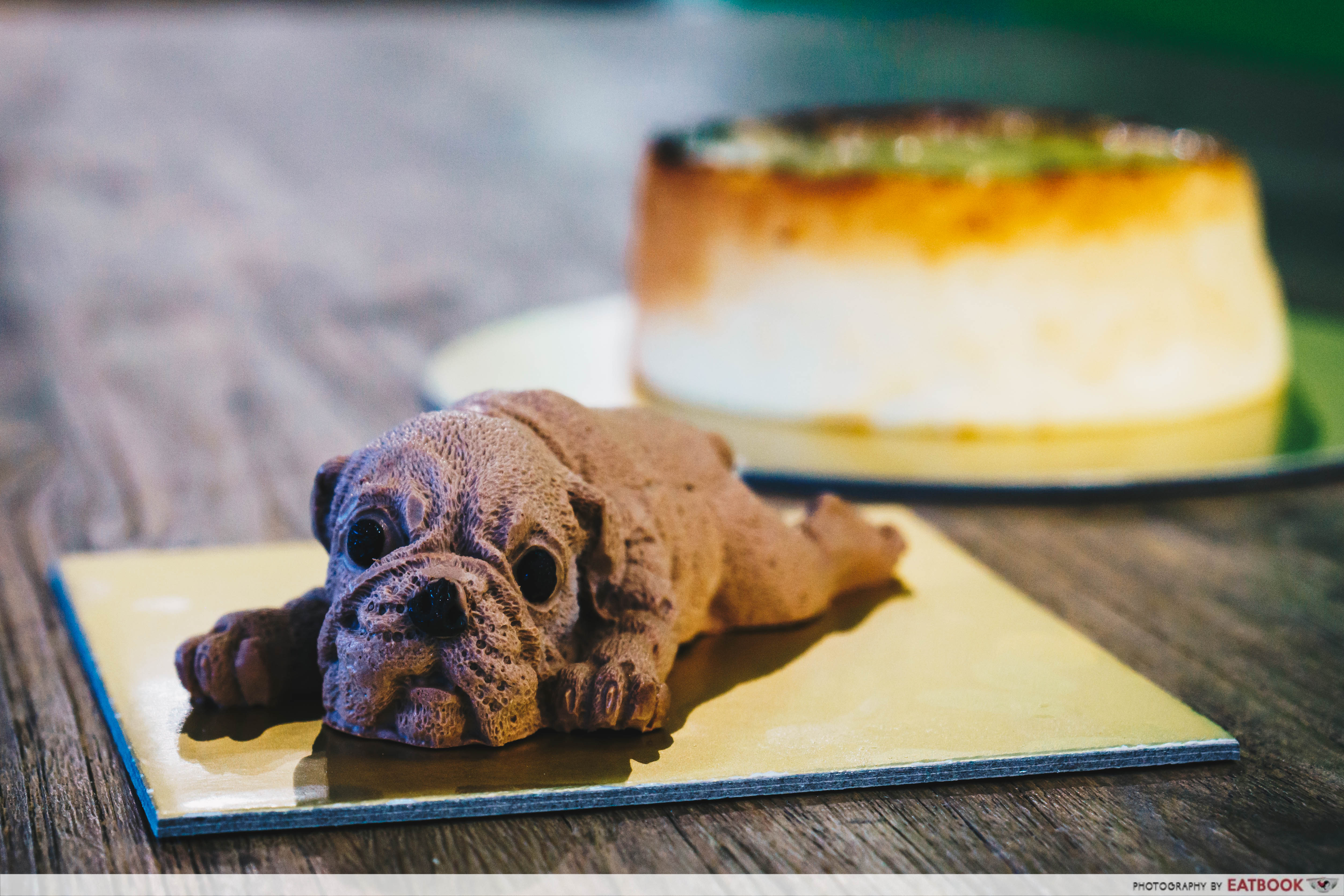 Dog Cake - Puppy Cake Intro Shot