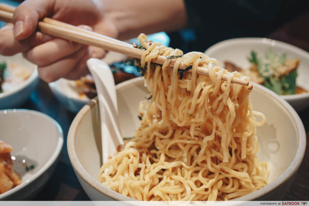 dumpling darlings -braised pork noodles