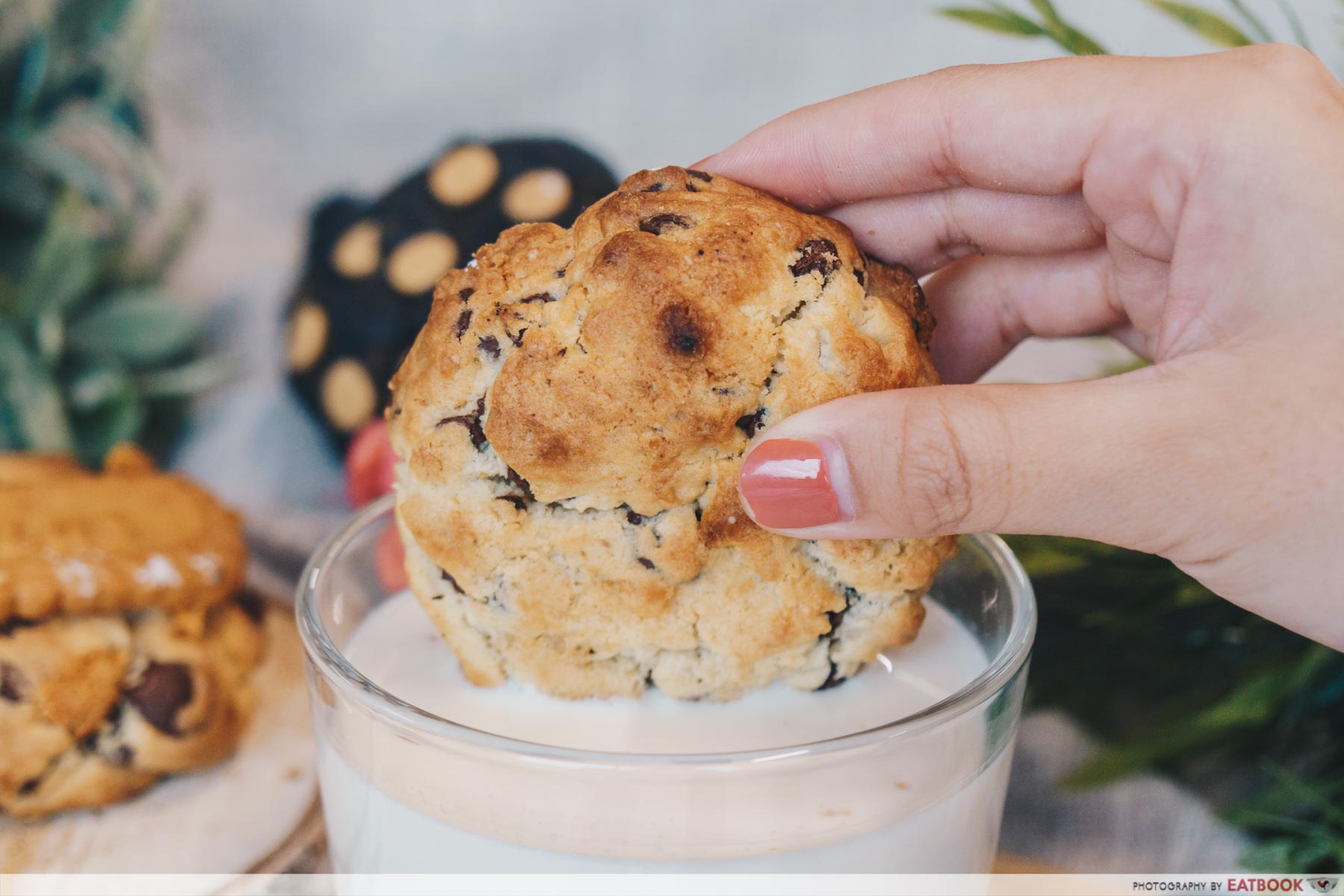 Nasty Cookie - Chocolate Chip With Milk