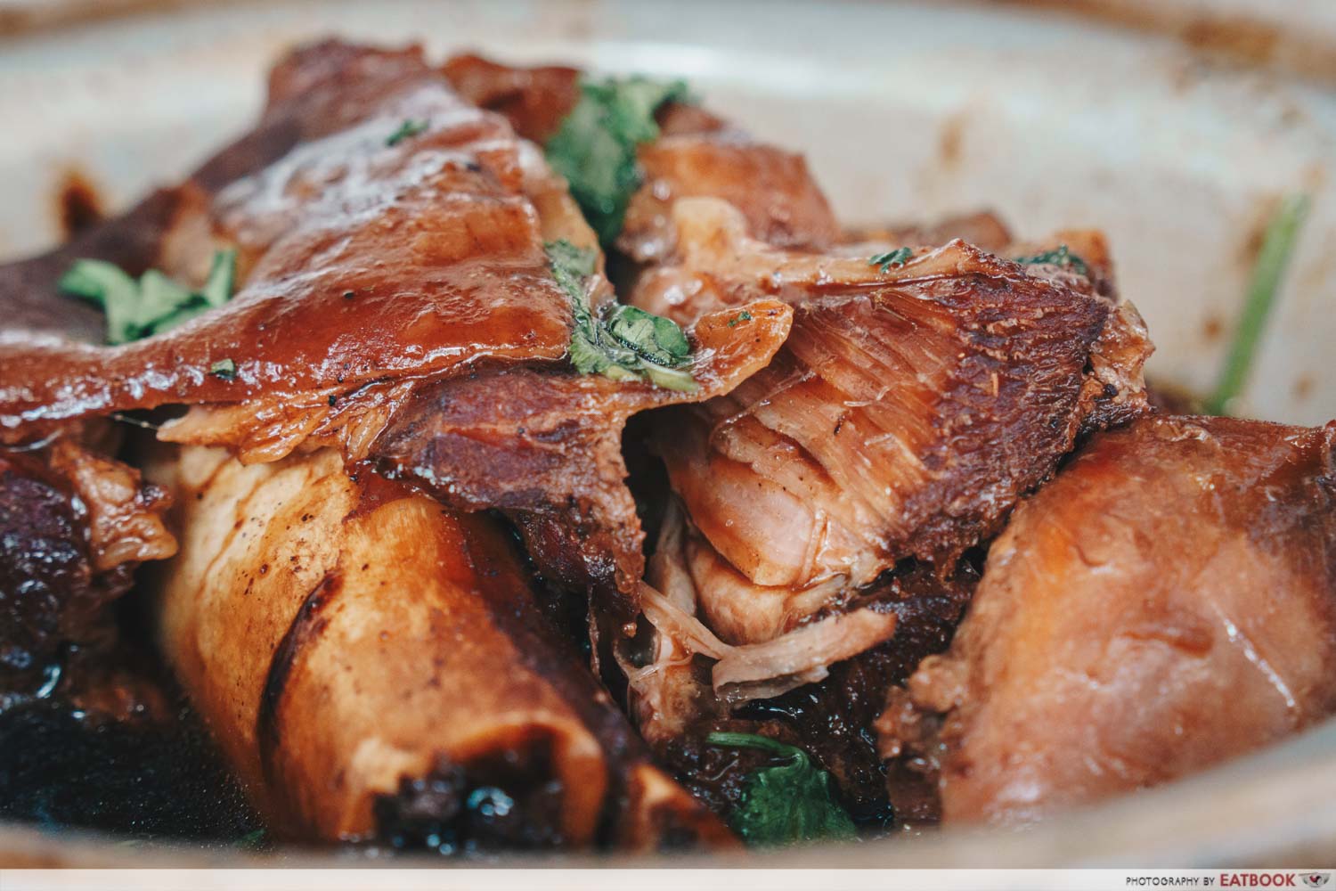 Good Year Seafood Village Bak Kut Teh trotters focused