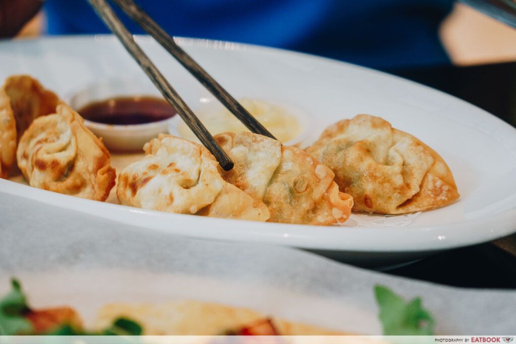 Picnic Buffet Gyoza