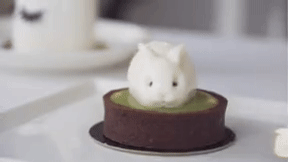 Boufé Boutique Café - Bunny jiggle