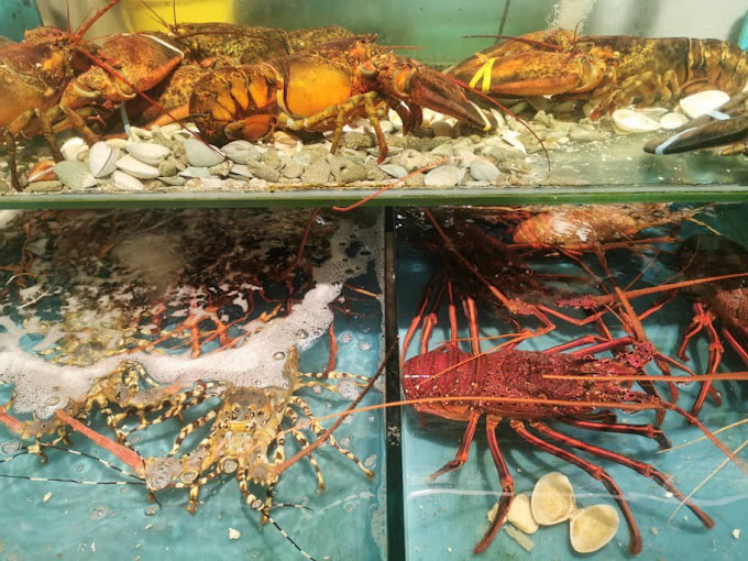 johor-bahru-seafood-restaurants-yi-jia-seafood