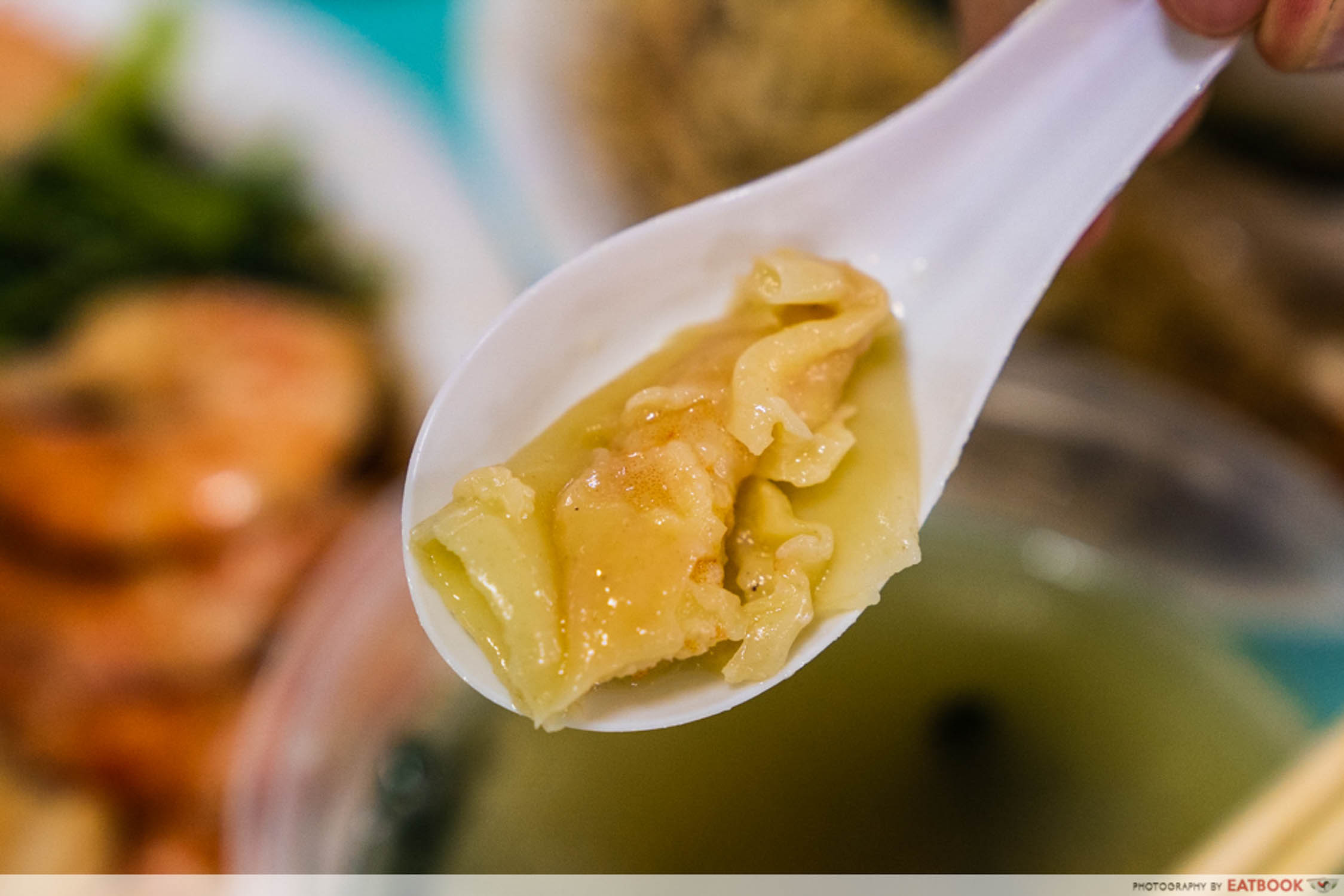 Tuck Kee Ipoh Sah Hor Fun Wanton Closeup