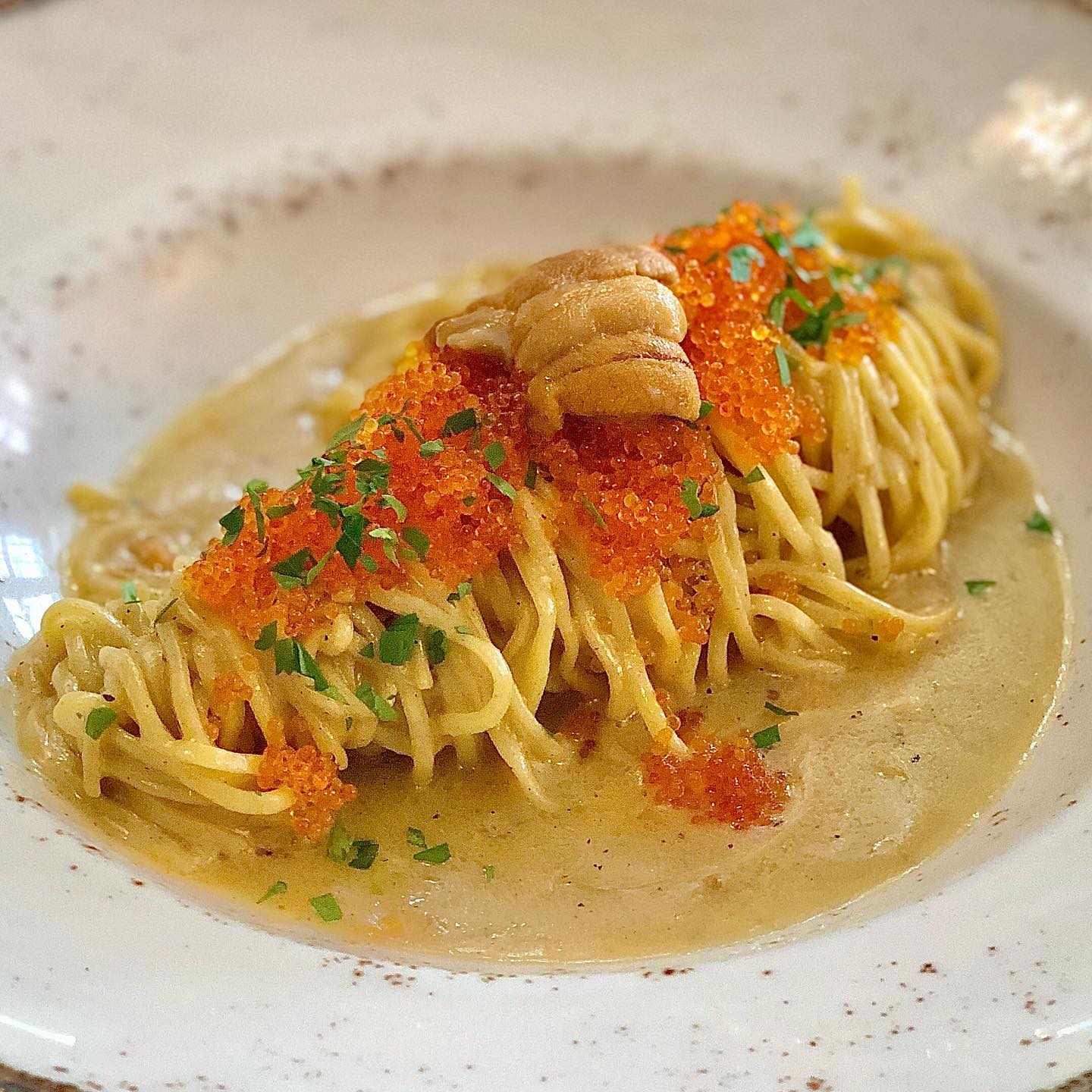 pasta bar - sea urchin tagliolini