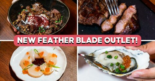 the-feather-blade-feature-image