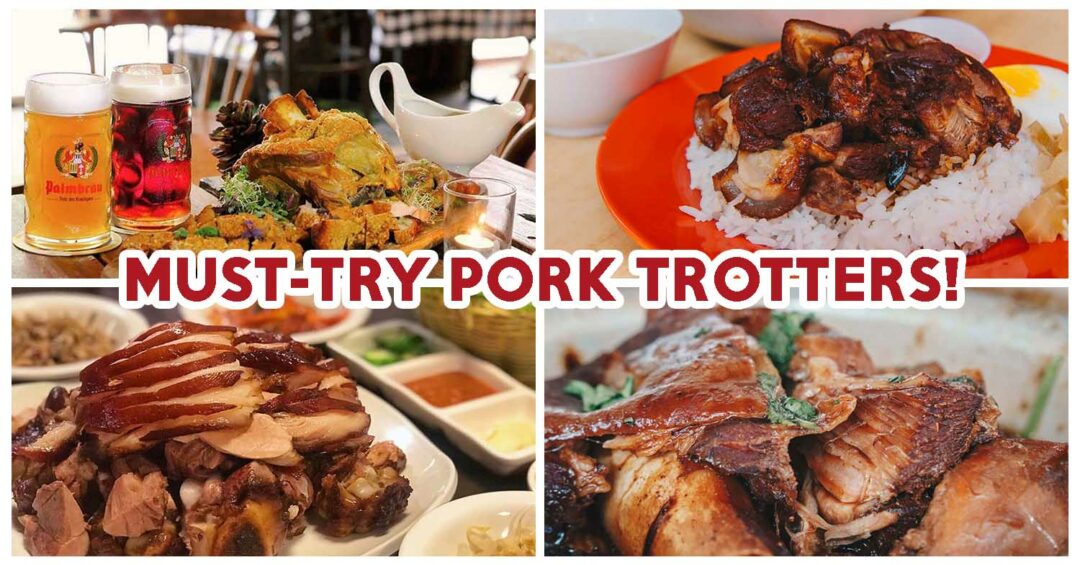Pork Trotter - Feature Image
