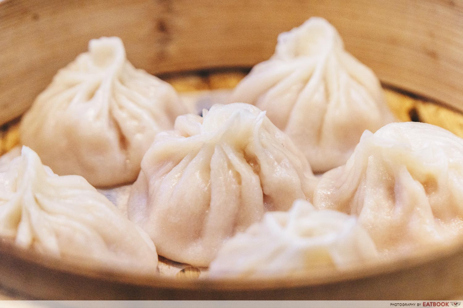 Hua Yi Kitchen - Xiao Long Bao Closeup