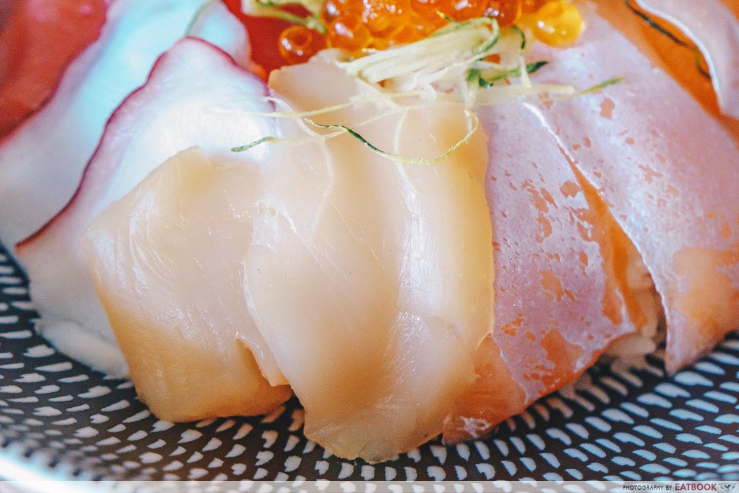 Kazoku - Scallop Closeup