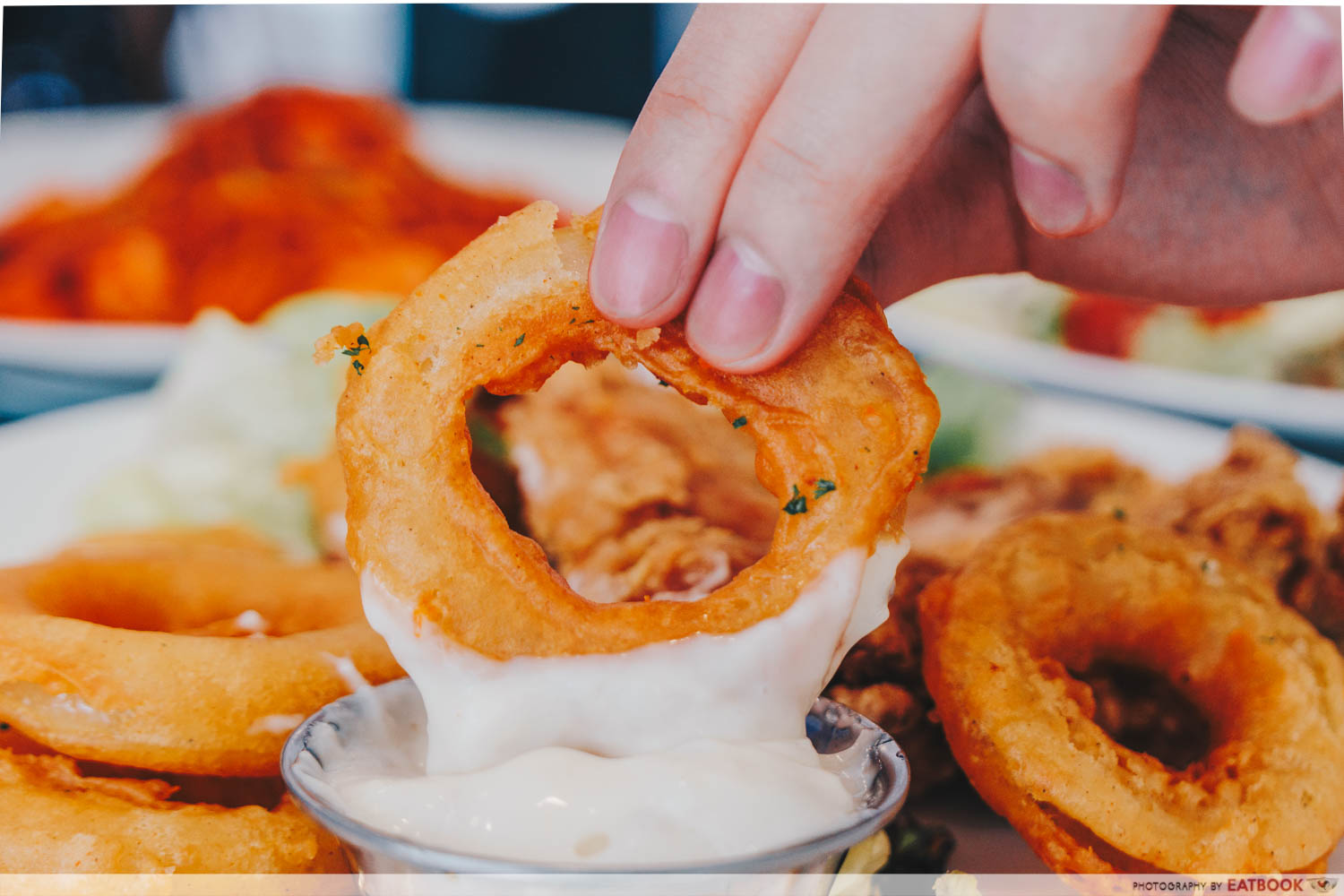 Nineties Pasta and Grill - onion rings