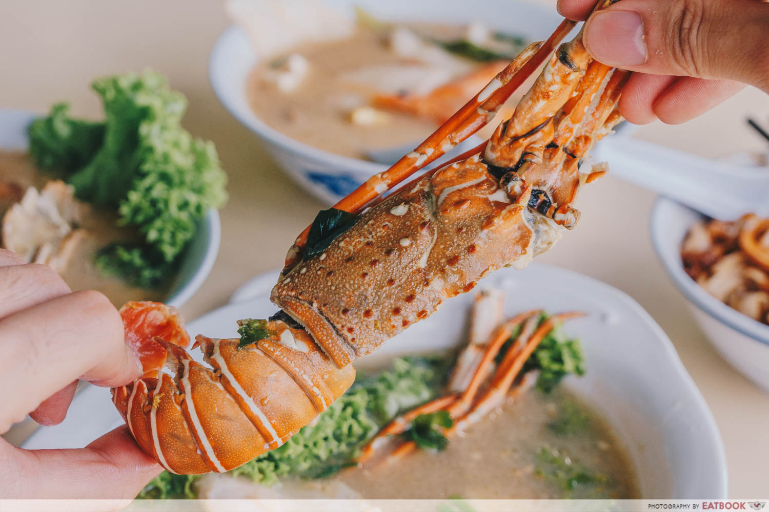 Shun Feng Crayfish Delight - Spiny Lobster Appearance