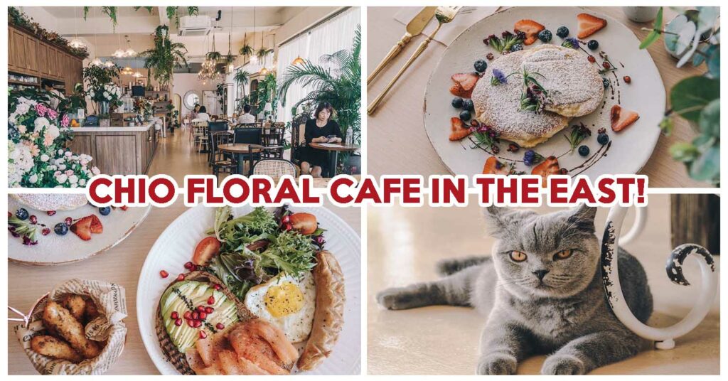 Cafe De Nicole's Flower - Feature Image