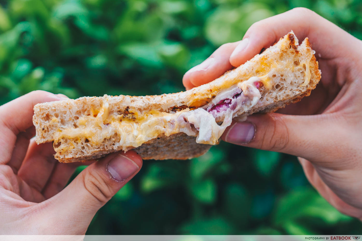 Micro Bakery and Kitchen grilled cheese sandwich cross section