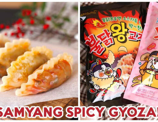 Samyang Gyoza - Gyoza Feature Image