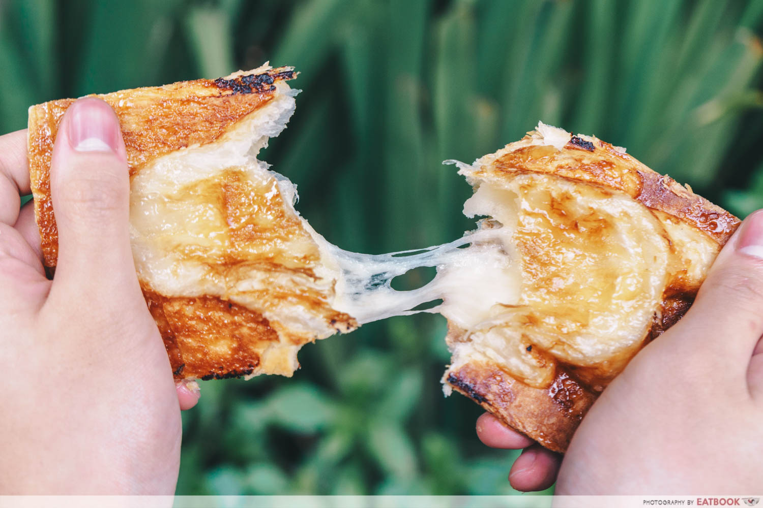 Soe Tam Jiak - cheese taiyaki