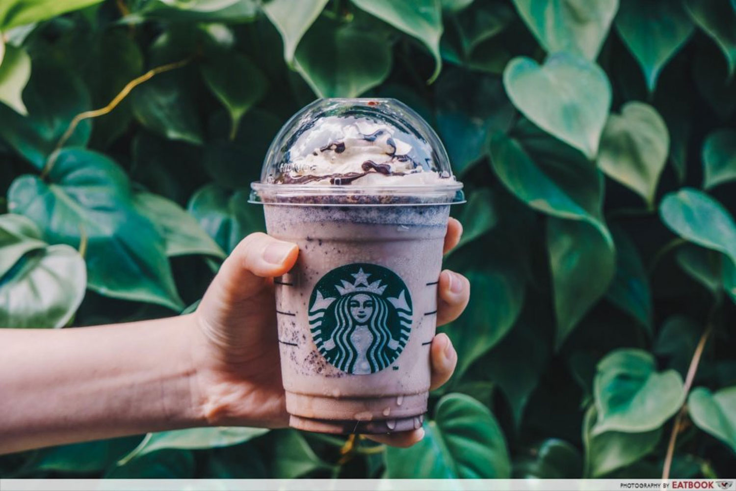 How Much Do You Get Paid At Starbucks As A Barista Lifescienceglobal