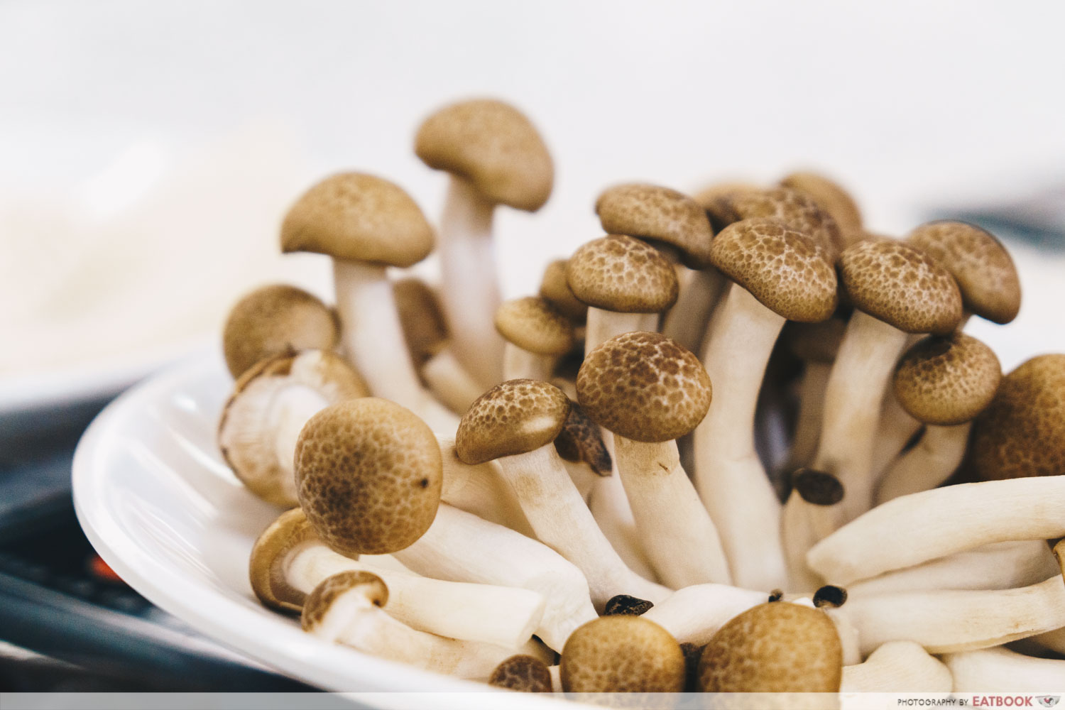 shan pin steamboat mushrooms
