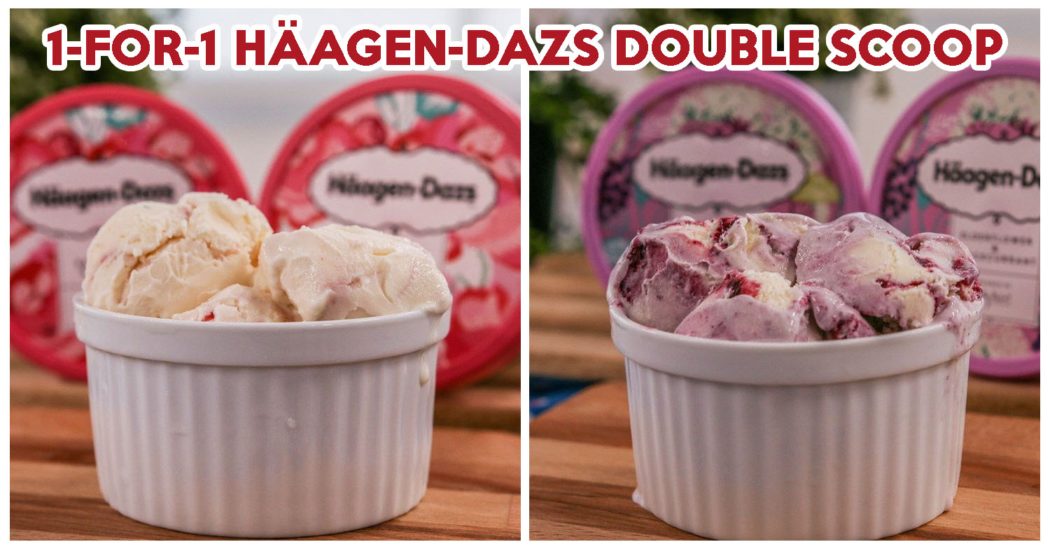 Häagen-Dazs Double Scoop - Cover