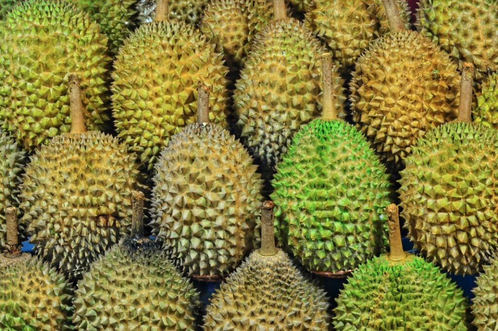 Plaza singapura durian buffet june